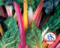 Bright Lights Swiss Chard Seeds