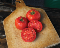 Jet Star Hybrid Tomato Seeds