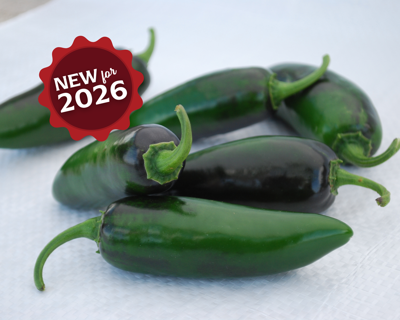 Craig's Grande Pepper Seeds
