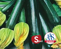 Black Beauty Zucchini Squash Seeds