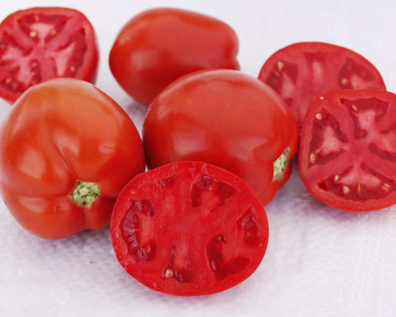 Saucy Lady™ Tomato Seeds