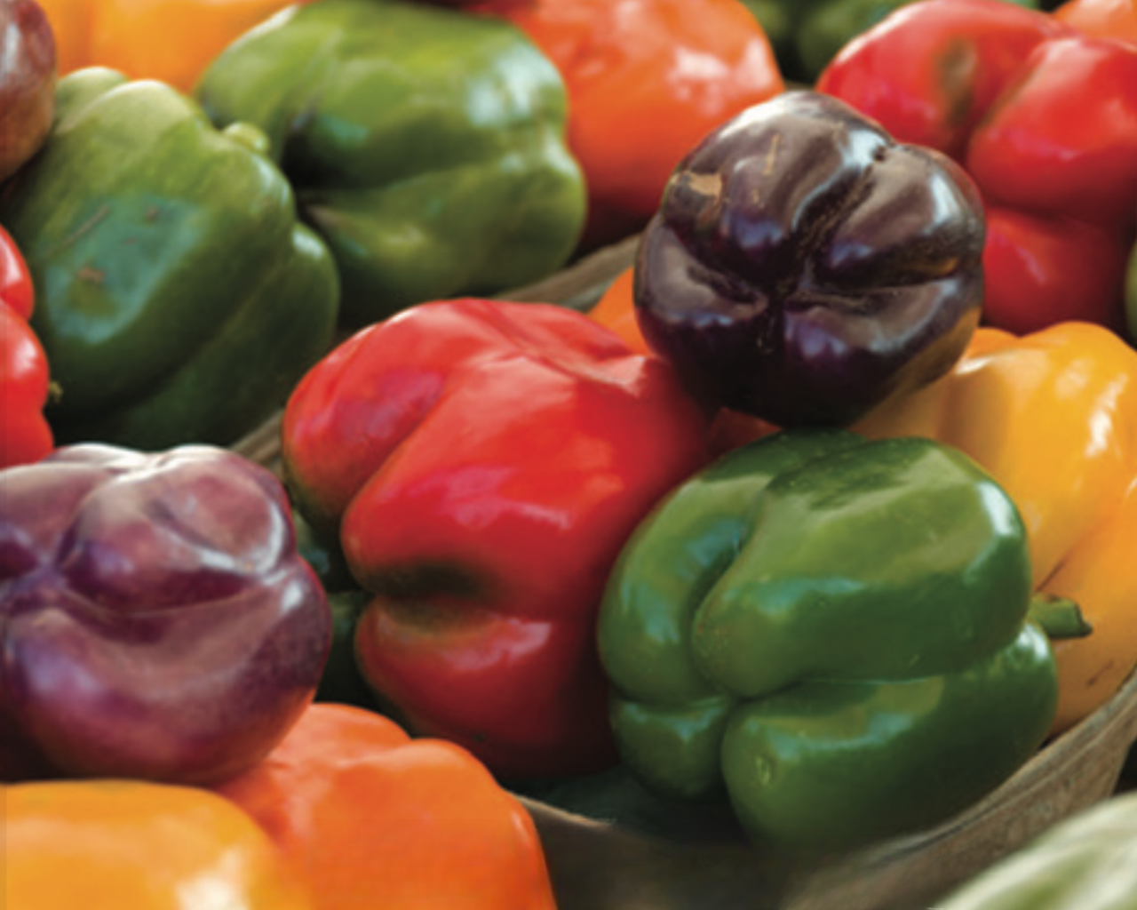Sweet Bell Rainbow Mix Pepper Seeds