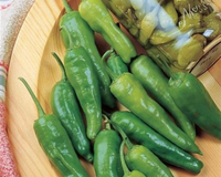 Golden Greek Pepperoncini Pepper Seeds
