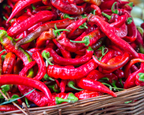 Jimmy Nardello's Non-Bell Pepper Seeds