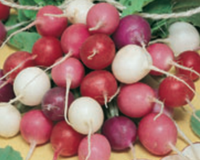 Easter Egg Blend Radish Seeds