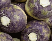 American Purple Top Rutabaga Seeds