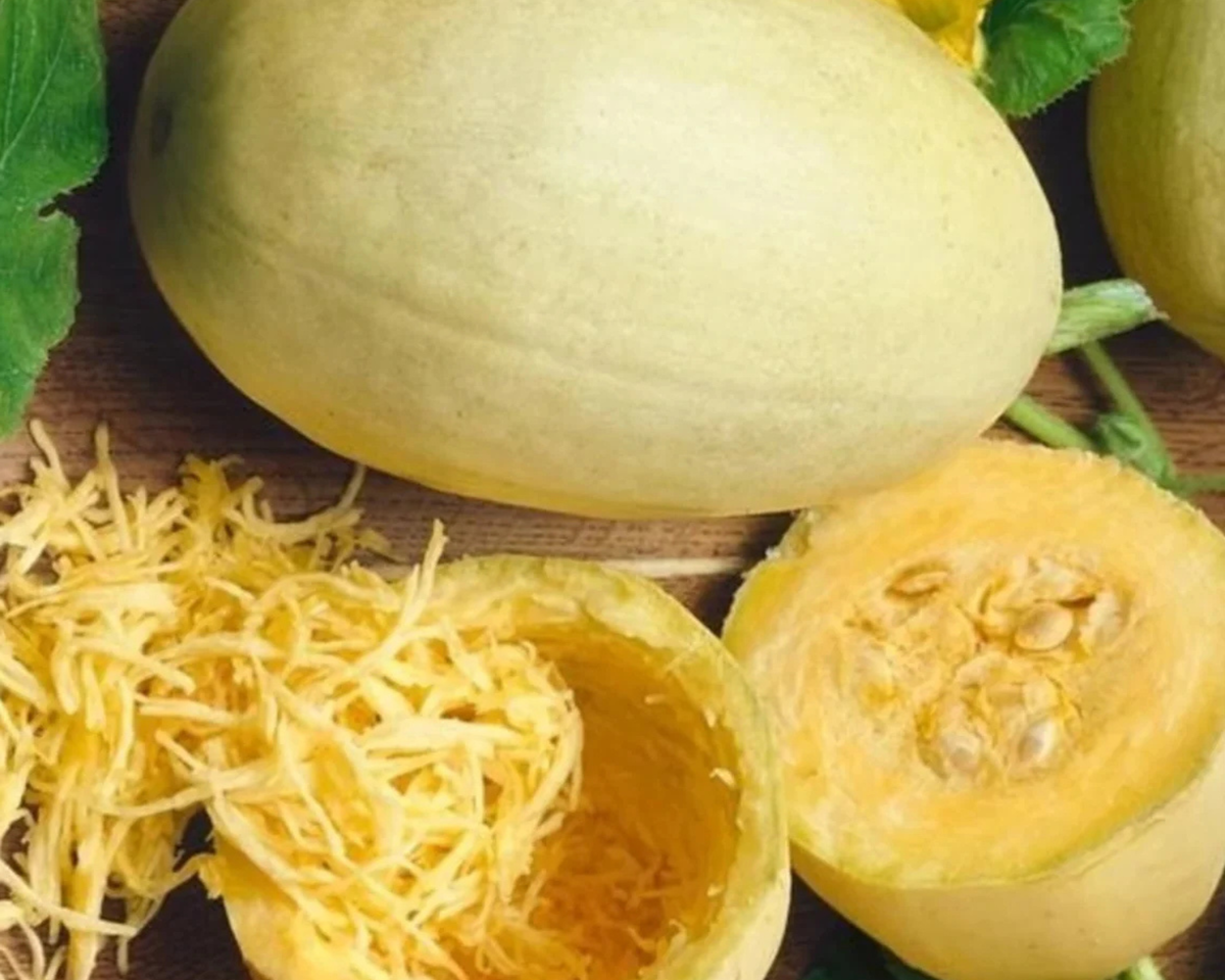 Vegetable Spaghetti Winter Squash Seeds
