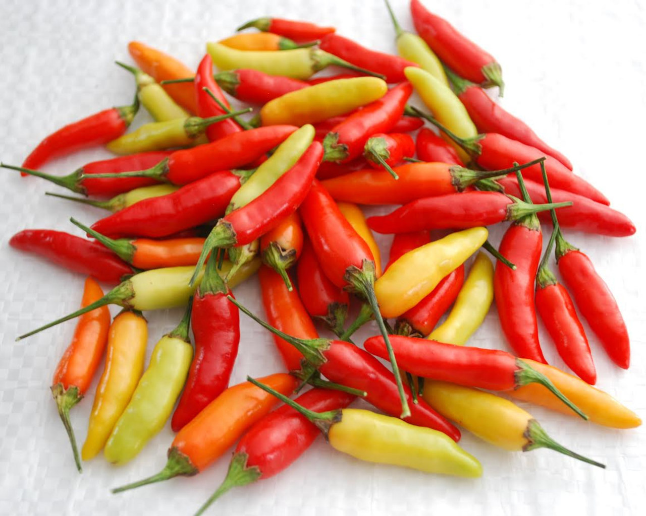 Tabasco Hot Pepper Seeds