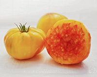 Old German Tomato Seeds