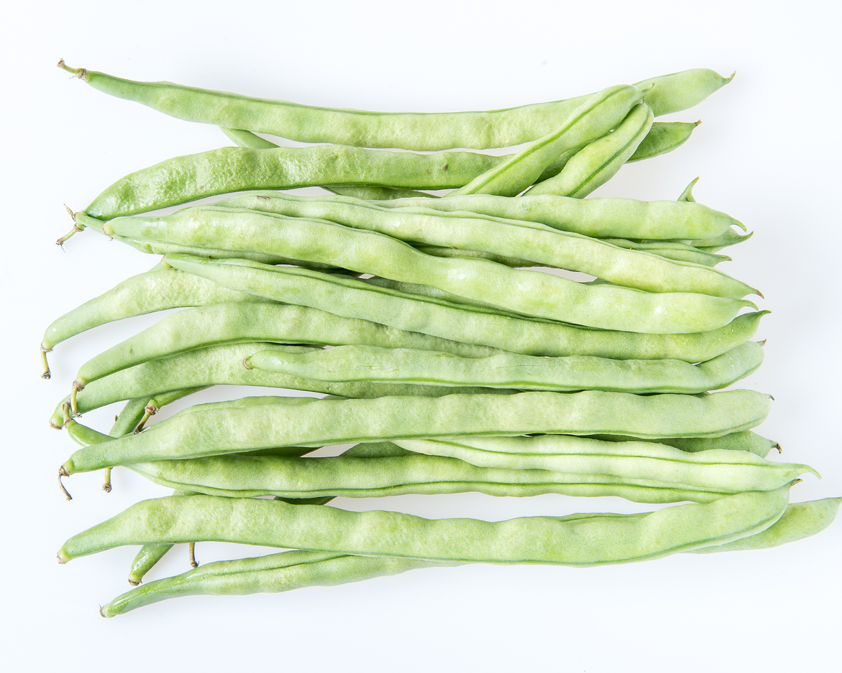 Kentucky Wonder Bean Seeds