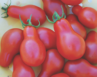 Red Pear Tomato Seeds