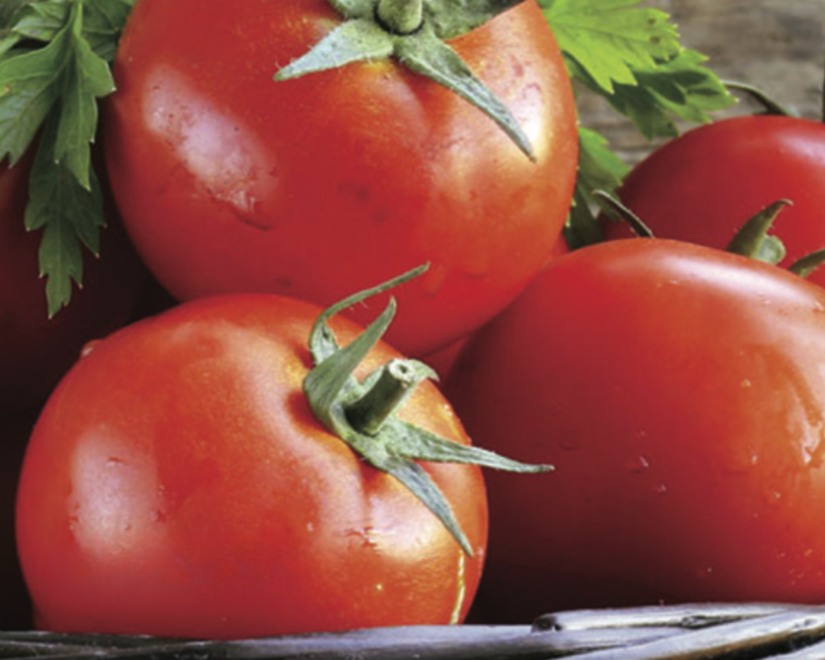 Goliath Early Hybrid Tomato Seeds