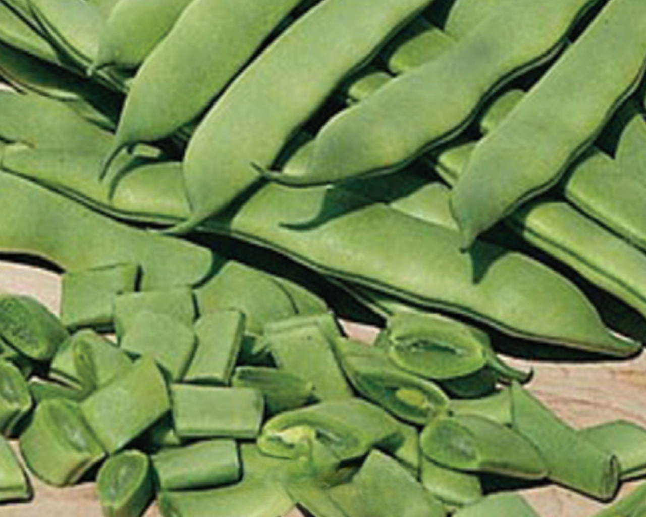 Roma II Bean Seeds