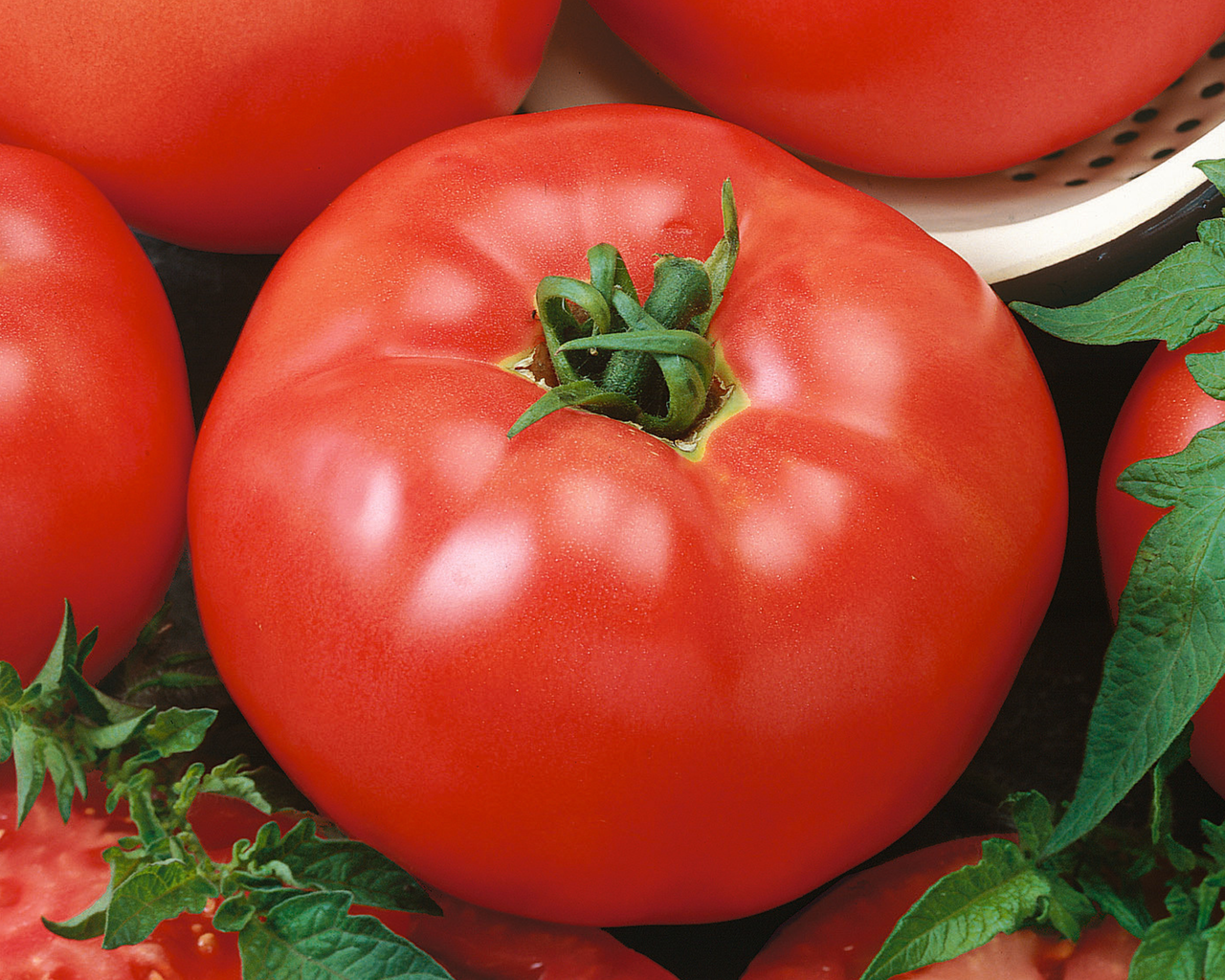 Red Brandymaster Hybrid Tomato Seeds