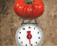 Big Zac™ Hybrid Tomato Seeds