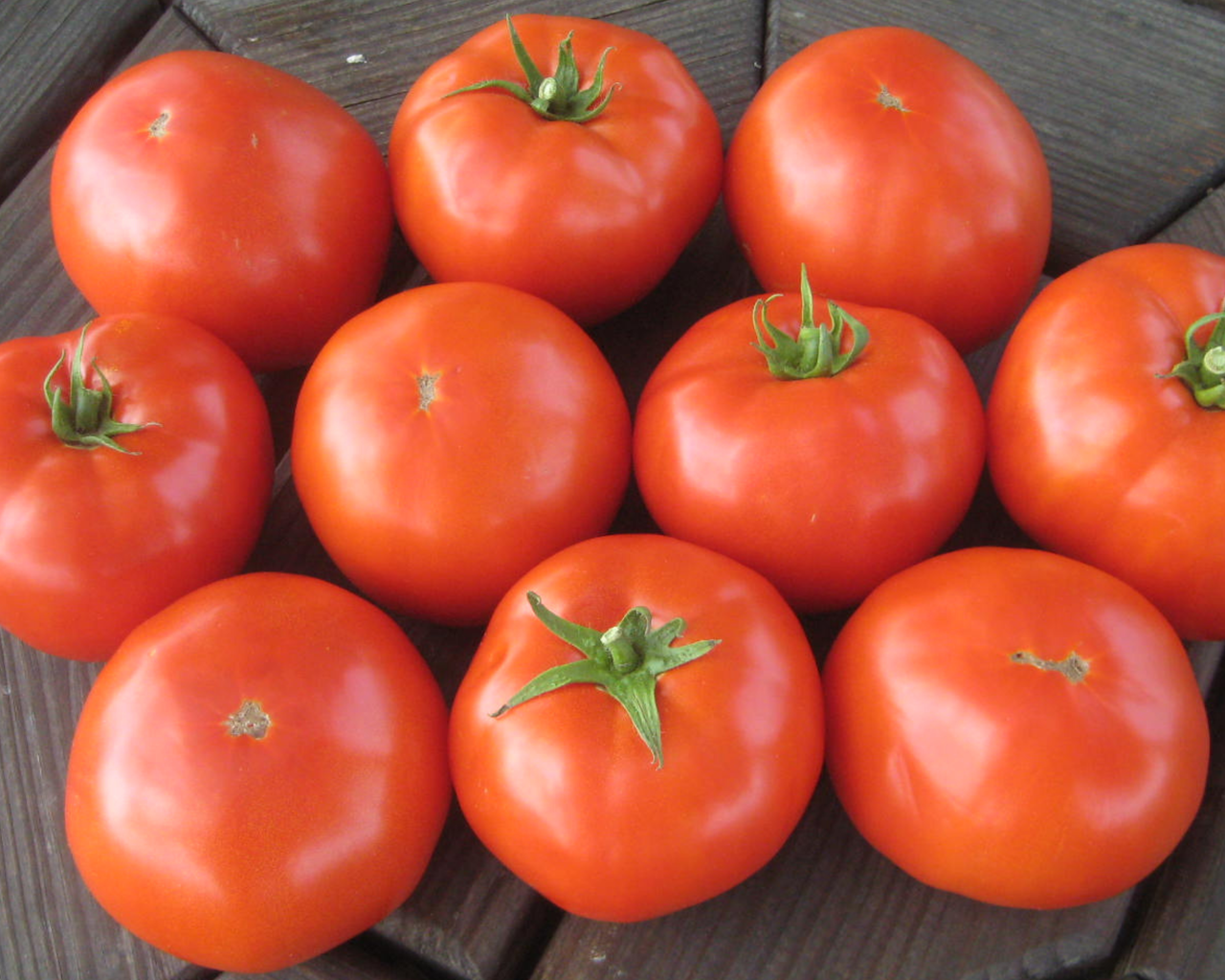 Mountain Merit™ Hybrid Tomato Seeds