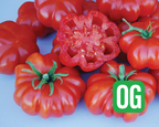 Rosso Sicilian Tomato Seeds