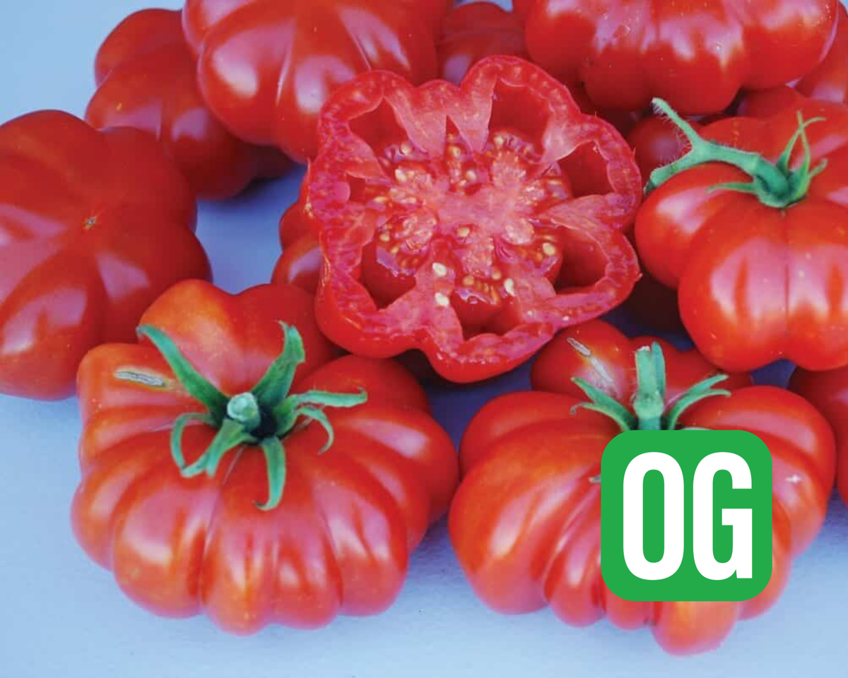 Rosso Sicilian Tomato Seeds