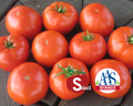 Mountain Merit™ Hybrid Tomato Seeds