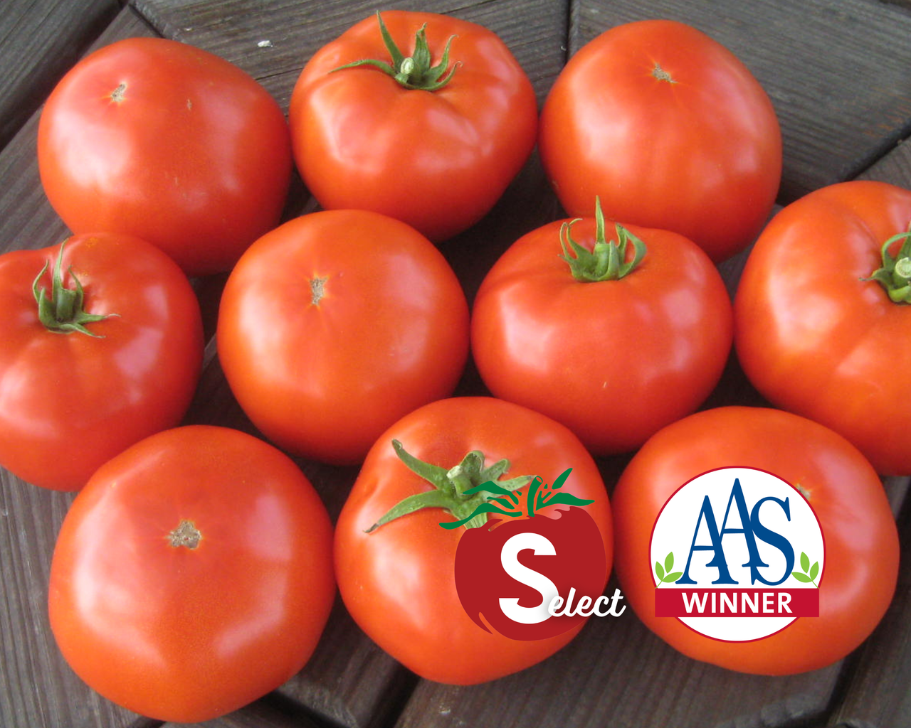 Mountain Merit™ Hybrid Tomato Seeds