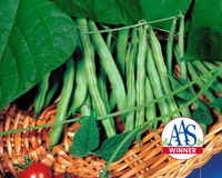 Derby Snap Bean Seeds
