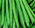 Slenderette Bean