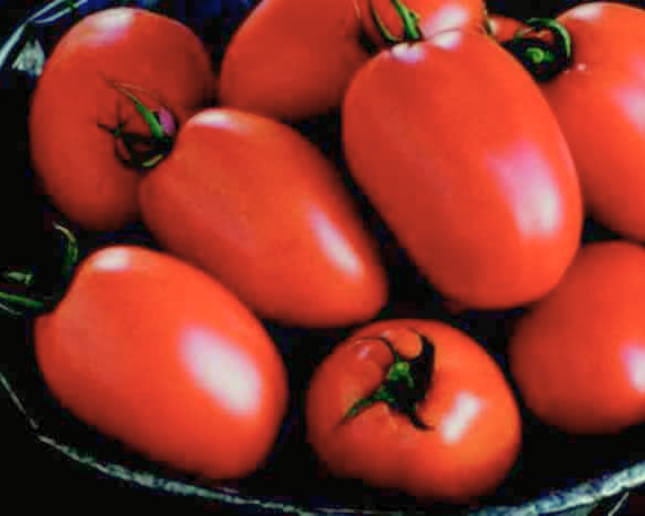 Plum Regal Hybrid Tomato Seeds