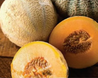 Halona Hybrid Melon Seeds