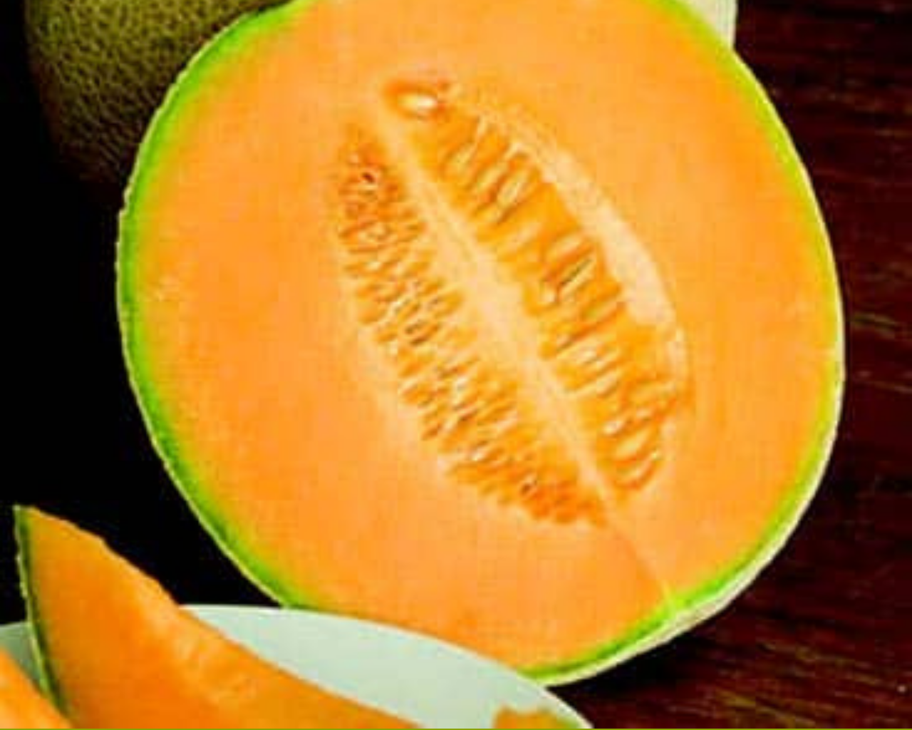 Hale's Best Jumbo Cantaloupe Seeds