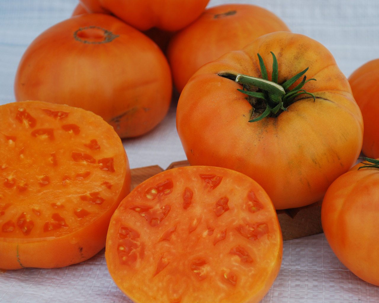 Kellogg's™ Breakfast Tomato Seeds