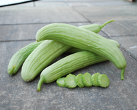 Armenian Cucumber Seeds