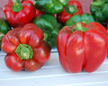 King of the North Pepper Seeds