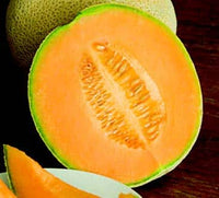 Hale's Best Jumbo Cantaloupe Seeds