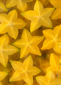 Star Fruit Seedling (Averrhoa carambola)