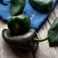 Ancho Poblano Pepper Seeds - The Pepper Pantry (Formerly Marie Sharp's)