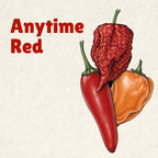 Anytime Red Hot Sauce