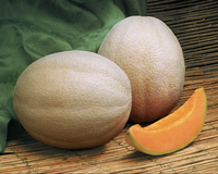 Aphrodite Hybrid Cantaloupe Seeds