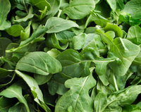 Arugula Seeds