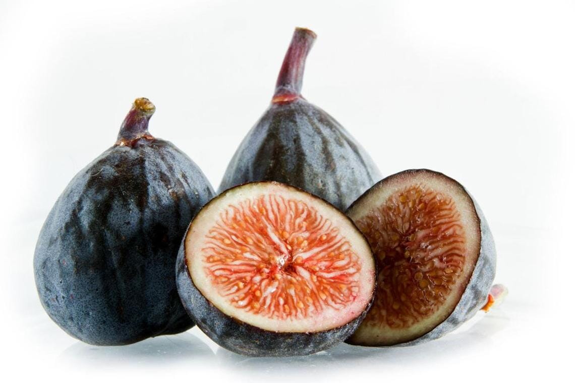 Dwarf Fig Tree "Beer's Black"