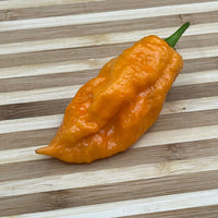 Bhut Jolokia Orange Cream - Seeds - The Pepper Pantry (Formerly Marie Sharp's)