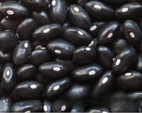 Black Turtle Bean Seeds