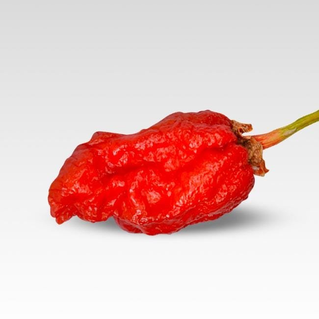 Bleeding Borg 9 Red Pepper Seeds – The Pepper Pantry