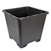 Blueberry Pot (12
