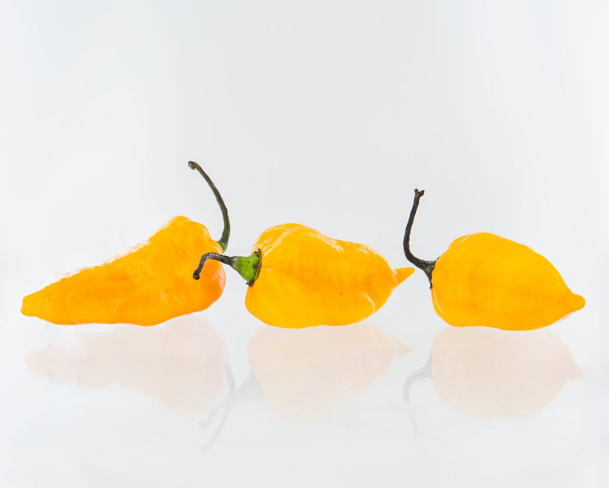 Bonda ma Jacques Pepper Seeds (Non - Isolated)