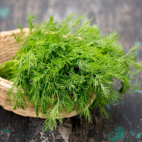 Bouquet Dill Seeds - The Pepper Pantry (Formerly Marie Sharp's)