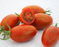 Bronze Torch Hybrid Tomato Seeds
