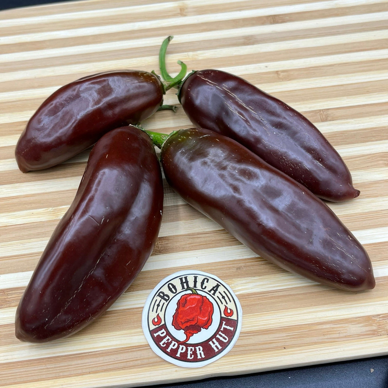 Brown Jalapeno - Seeds - The Pepper Pantry (Formerly Marie Sharp's)