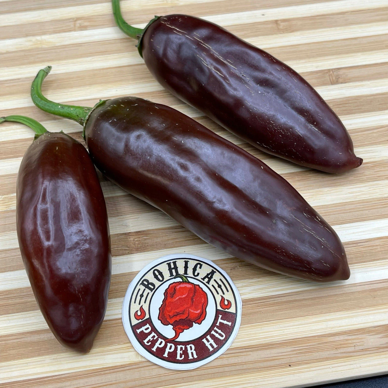 Brown Jalapeno - Seeds - The Pepper Pantry (Formerly Marie Sharp's)