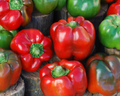 Bull Nose Bell Pepper Seeds