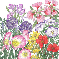 California Native Wildflower Mix (lb)